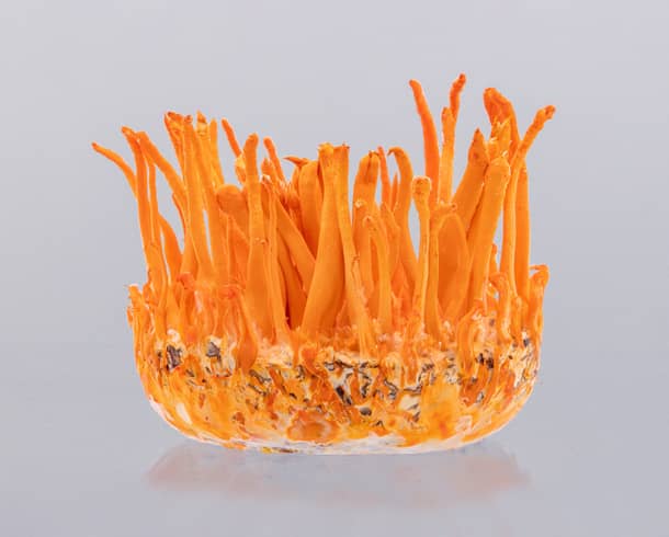 Advertising Concept Manipulation After