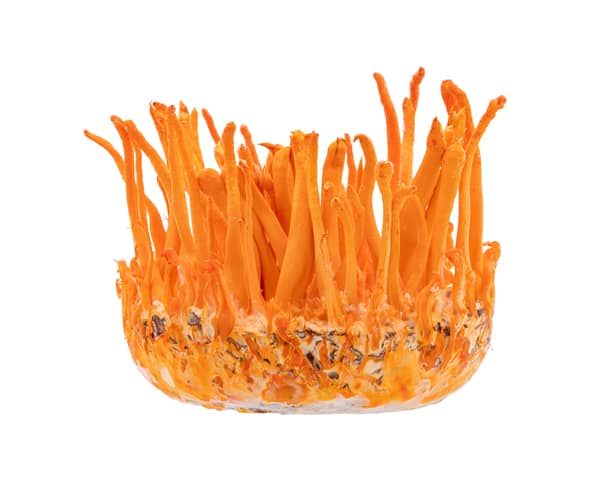 Diamond Jewelry Retouch After